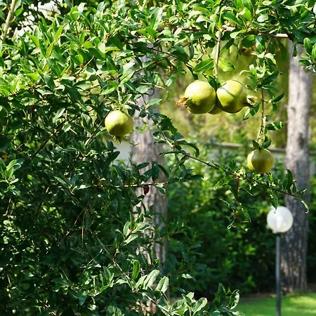 Il Giardino Di Agata Taranto