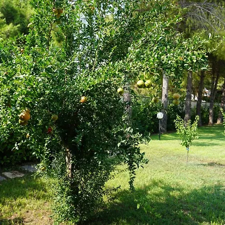 Penzion Il Giardino Di Agata *